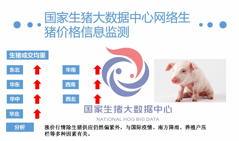 河南西华最新生猪价格,河南西华最新生猪价格动态分析