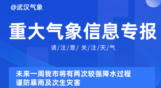 新奥精准资料免费提供510期,新奥精准资料免费提供510期，深度挖掘与解读