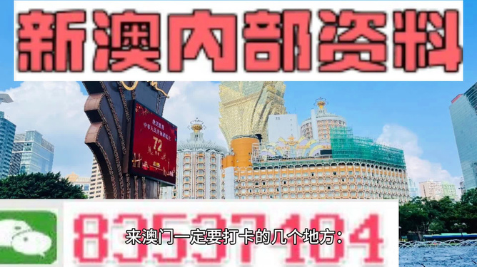 2024年新澳门正版免费资料,探索2024年新澳门正版免费资料的价值与影响