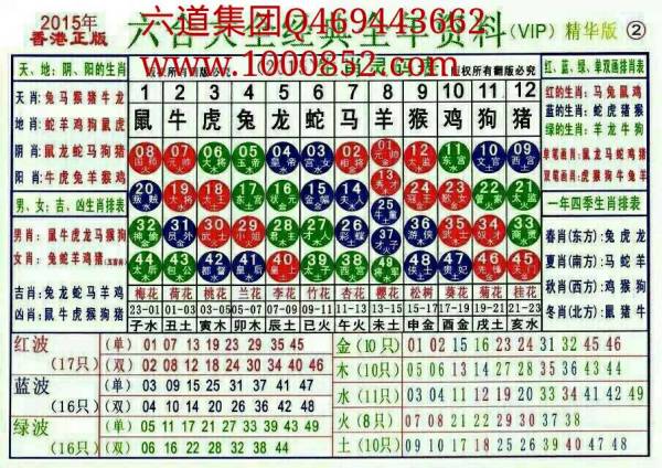 2024十二生肖49码表,揭秘2024十二生肖与数字彩票的奥秘，49码表全解析