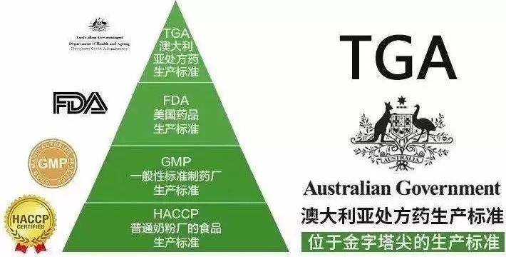 新澳今天最新资料2025,新澳2025，探索未来之路的最新资料